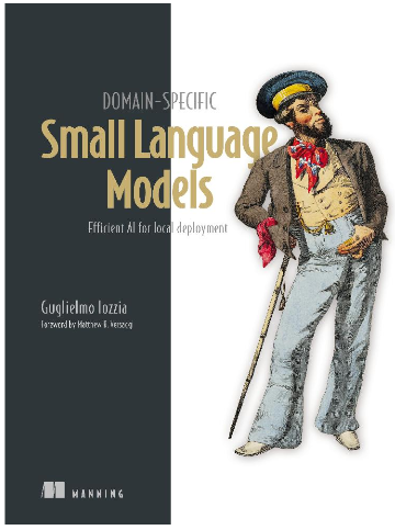 Domain-Specific Small Language Models